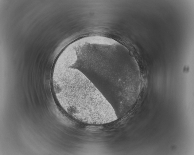 X0000113960051200911061334