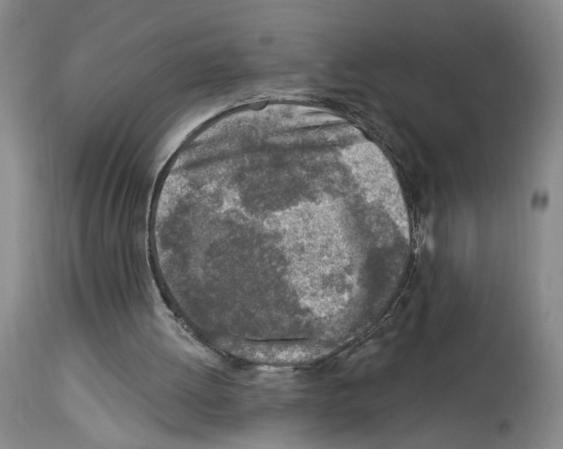 X0000113960052200911061334