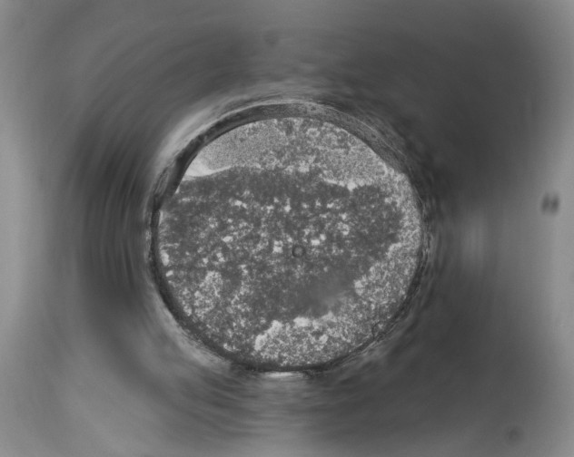 X0000113960053200911061334