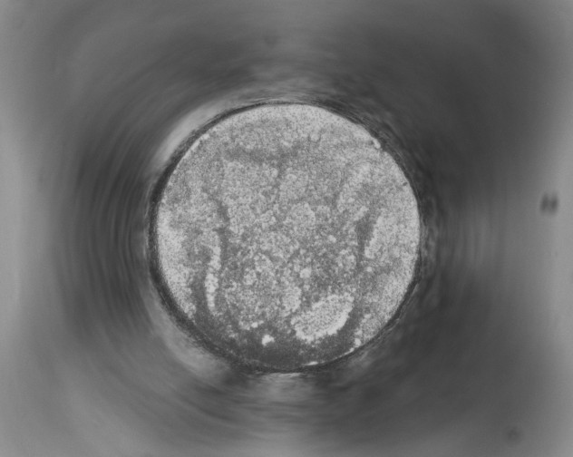 X0000113960054200911061334