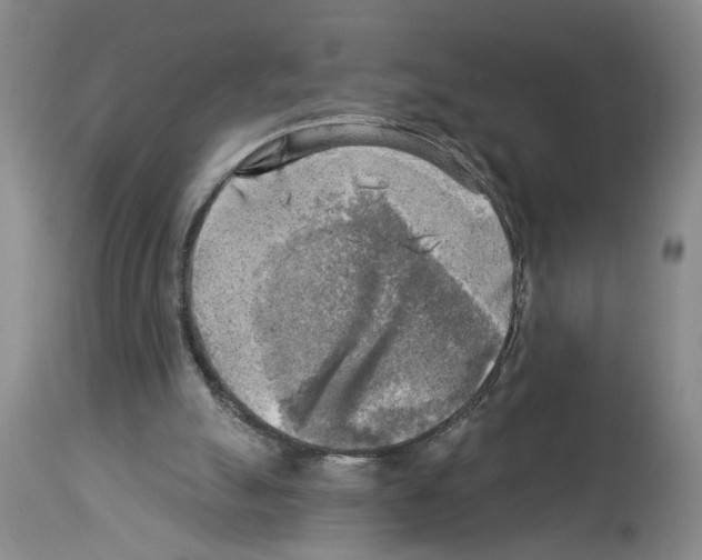 X0000113960055200911061334