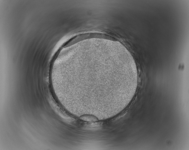 X0000113960056200911061334