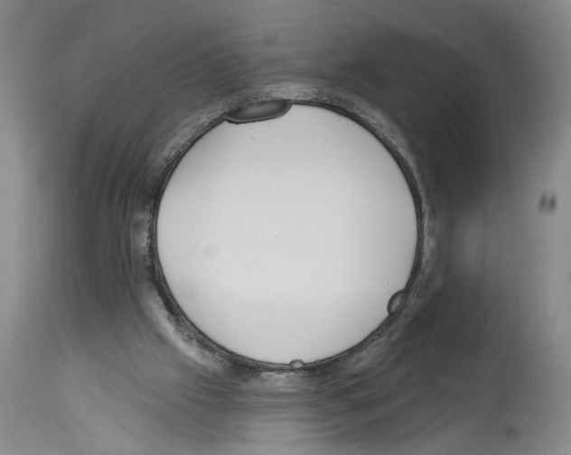 X0000113960057200911061334