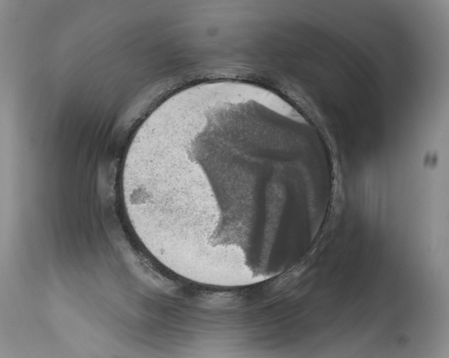 X0000113960058200911061334