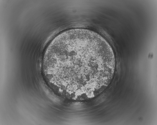 X0000113960059200911061334