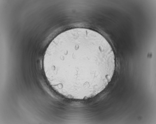 X0000113960061200911061334