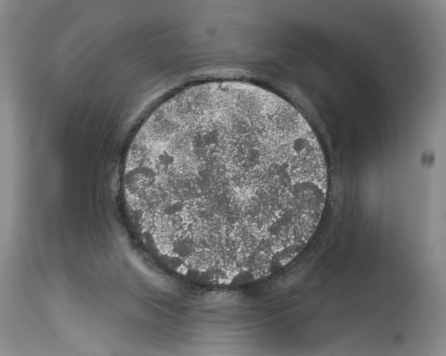 X0000113960063200911061334