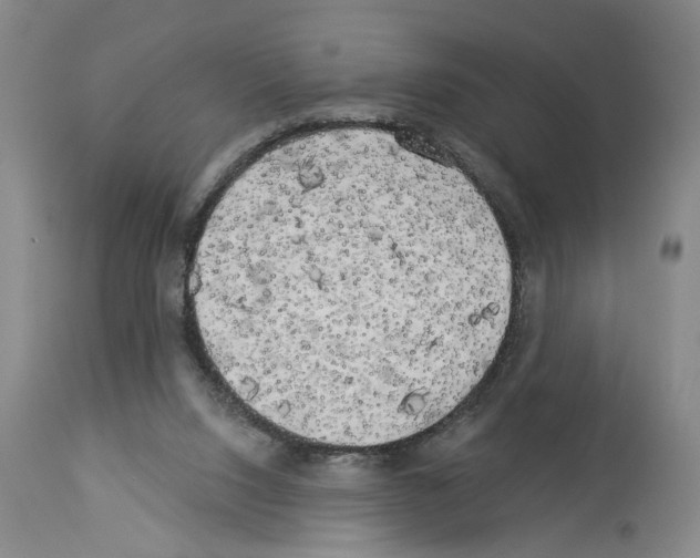 X0000113960064200911061334
