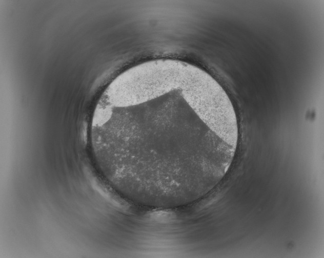 X0000113960067200911061335