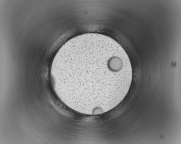 X0000113960072200911061335