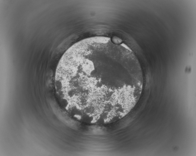 X0000113960073200911061335