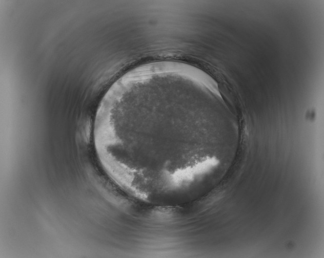 X0000113960076200911061335