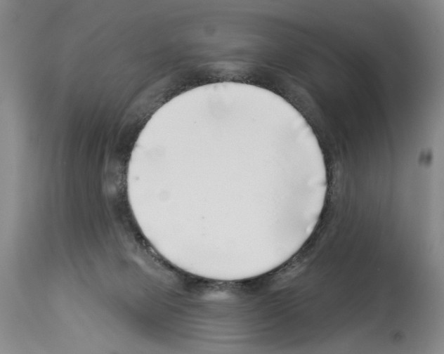 X0000113960077200911061335