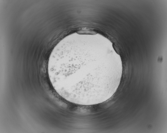 X0000113960078200911061335