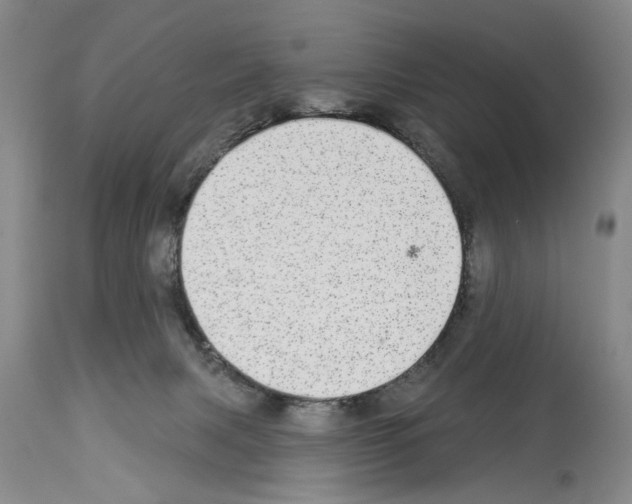 X0000113960079200911061335