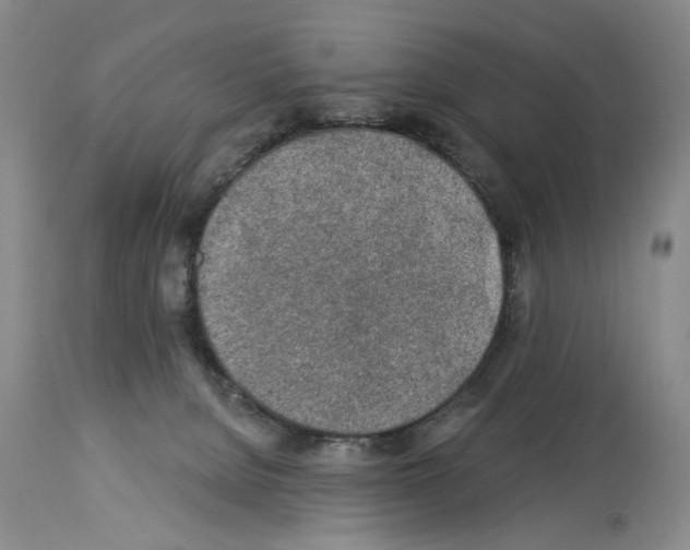 X0000113960080200911061335