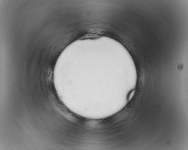 X0000113960081200911061335