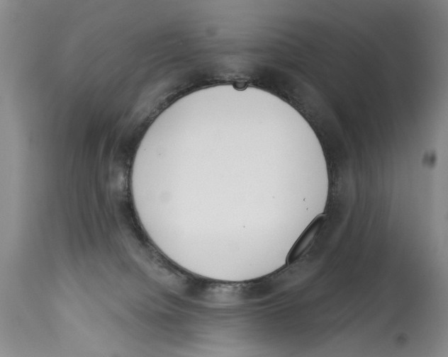 X0000113960084200911061335