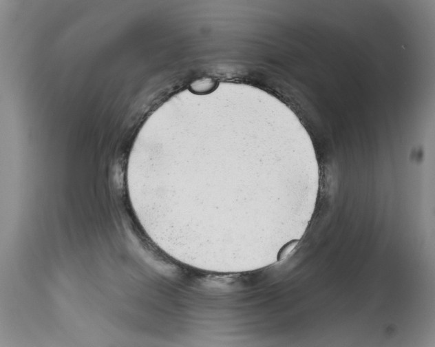 X0000113960086200911061335