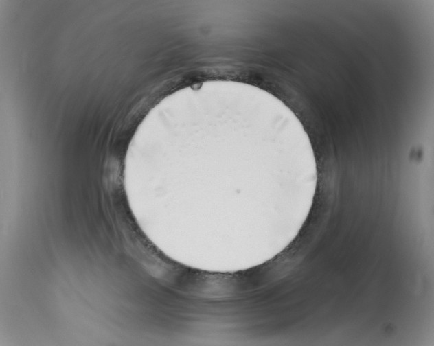 X0000113960089200911061335