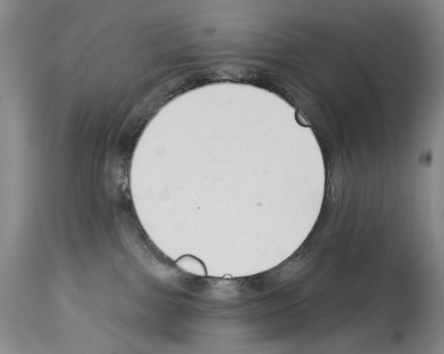 X0000113960091200911061335