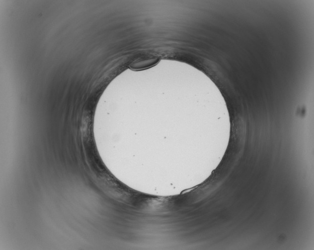 X0000113960092200911061335