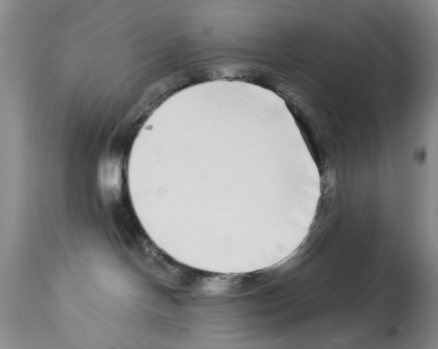 X0000113960094200911061335
