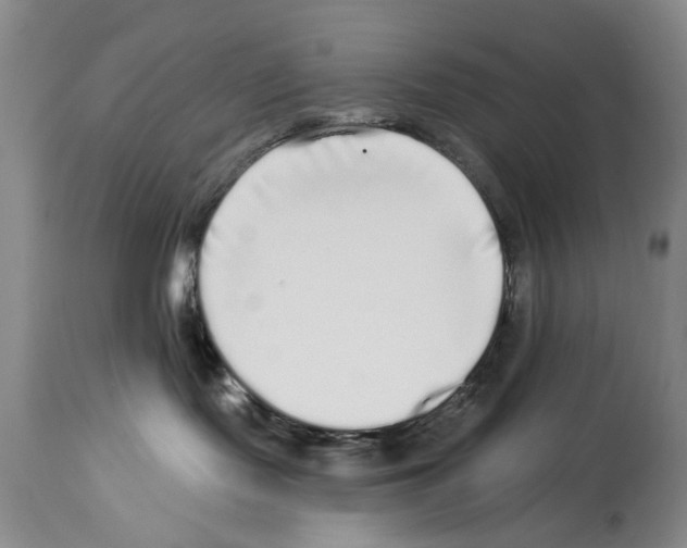 X0000113960095200911061335