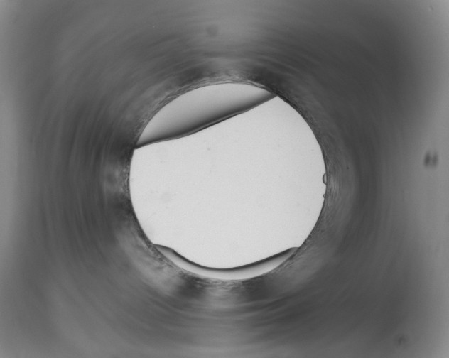 X0000113960096200911061335