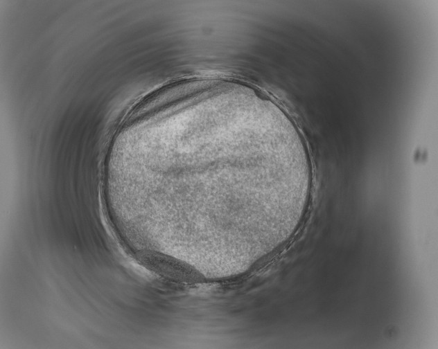 X0000113960097200911061334