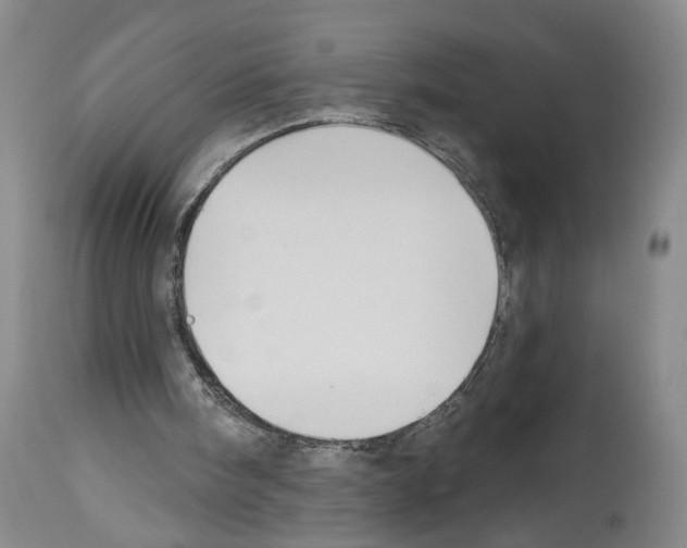 X0000113960098200911061334