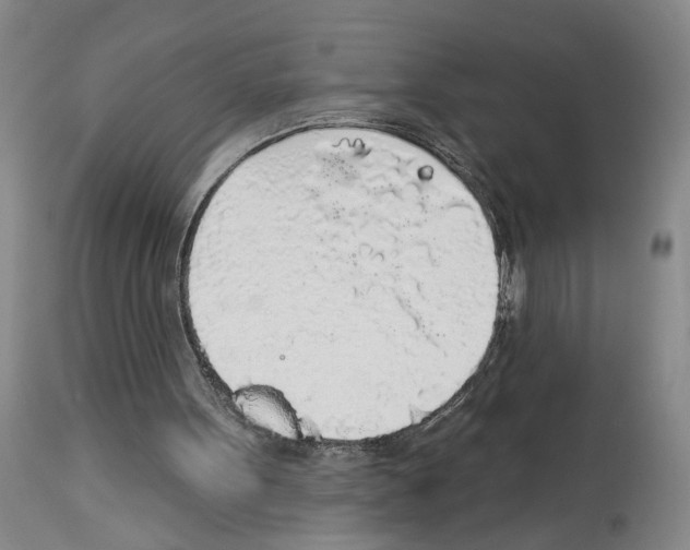 X0000113960099200911061334