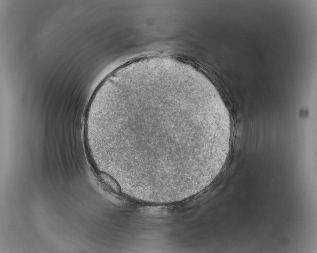 X0000113960100200911061334