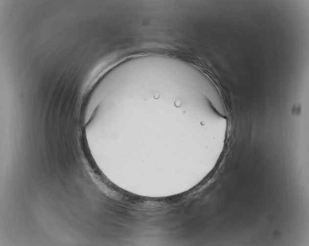 X0000113960101200911061334