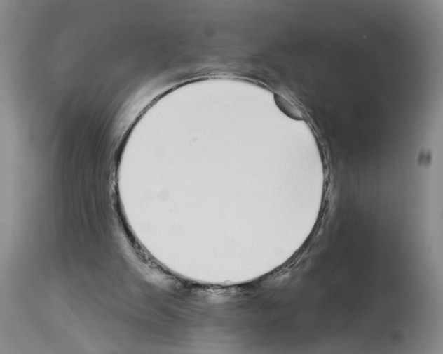 X0000113960103200911061334