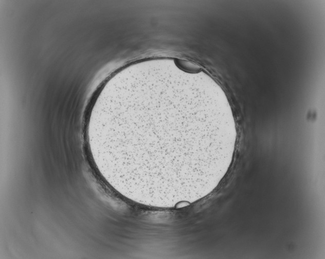 X0000113960104200911061334