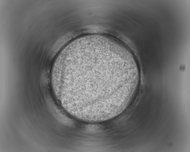 X0000113960105200911061334