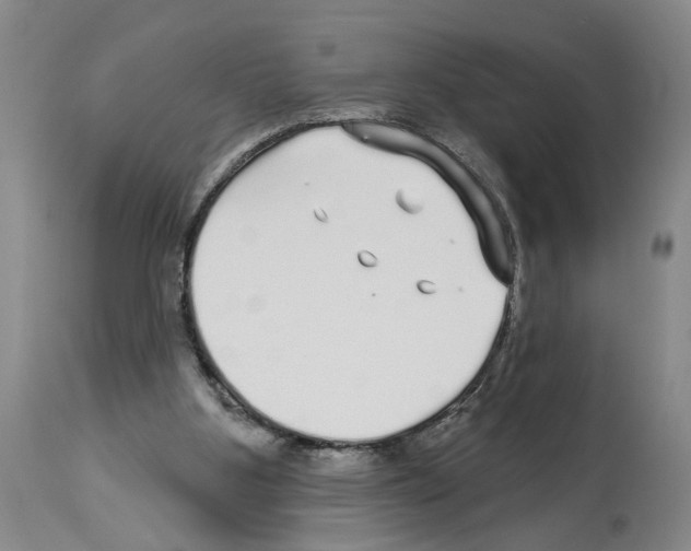 X0000113960107200911061334