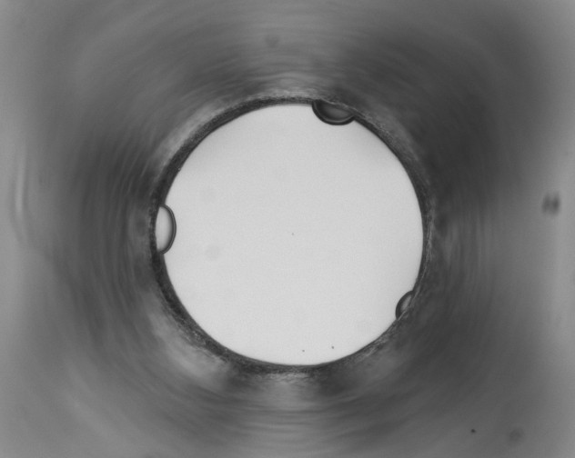 X0000113960108200911061334