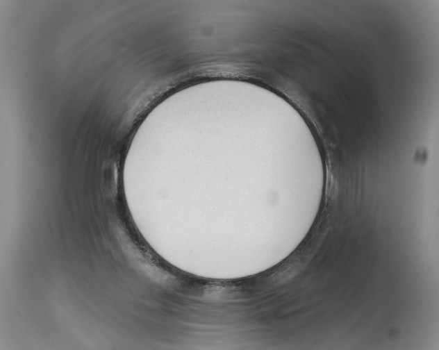 X0000113960109200911061334