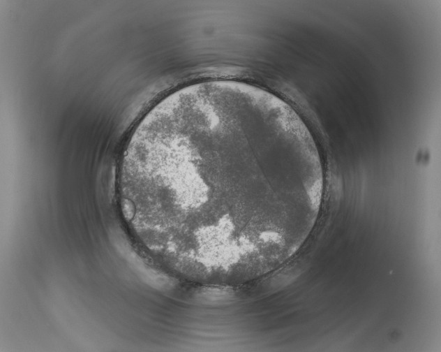 X0000113960110200911061334
