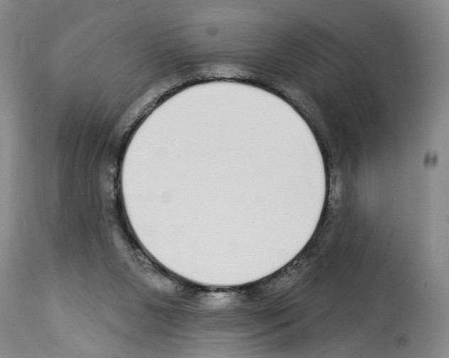 X0000113960111200911061334