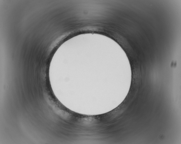 X0000113960112200911061334