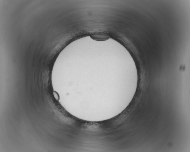 X0000113960113200911061334