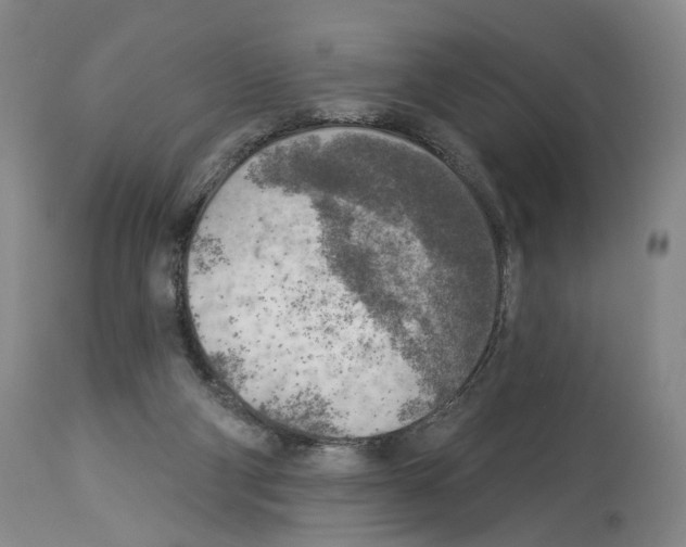 X0000113960114200911061334