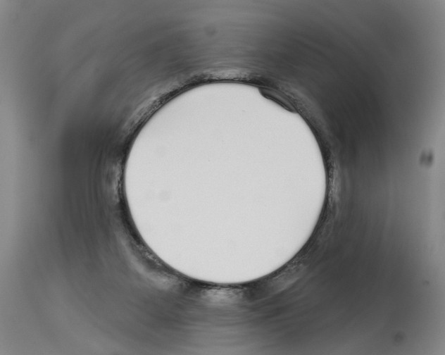 X0000113960115200911061334