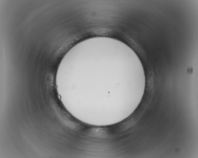 X0000113960117200911061334