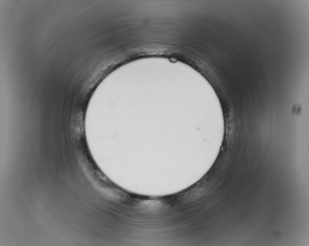 X0000113960119200911061334