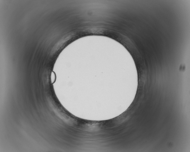 X0000113960120200911061334