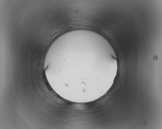 X0000113960121200911061334
